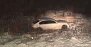 Zamienie: Pijany Ukrainiec wyleciał BMW z drogi i wpadł do rowu