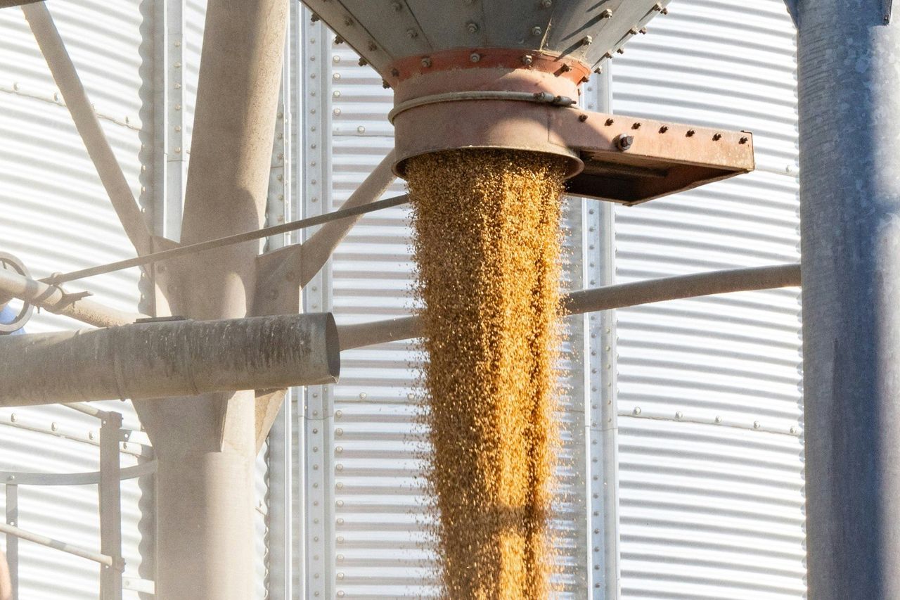 Sprzedaje tylko ten, kto musi. Ziarno czeka na lepsze czasy