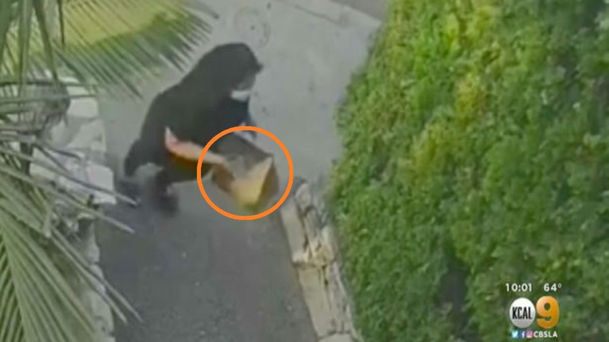 Przywiozła jedzenie dla klientów Uber Eats. Zanim wręczyła im zamówienie, schowała do torby cudzego kota