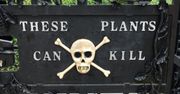 Śmiertelne piękno. Ogród pełen trucizn, który fascynuje i przeraża