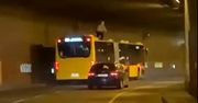 "Surfował" na dachu autobusu. Wideo hitem internetu