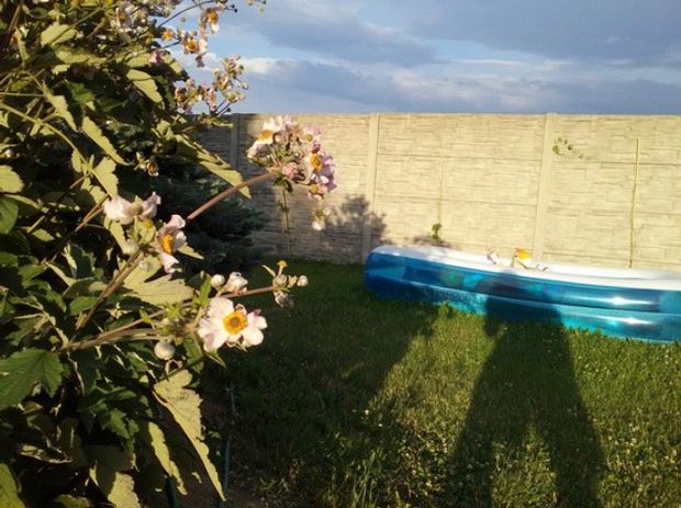 Samsung Galaxy Tab A – tablet do zadań zwyczajnych [recenzja konkursowa #9] 8