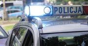 Poszukiwany ukrył się w skrzyni na ziemniaki – nietypowa akcja policji w gminie Żyrzyn