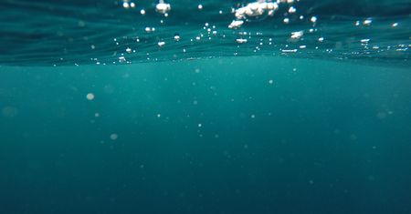 Najcenniejsze minerały. Trump chce je wydobywać z dna oceanu