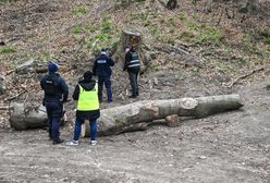 Dramatyczny wypadek. Pień przygniótł dzieci