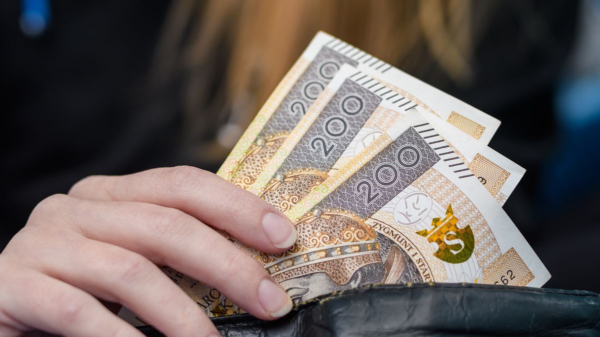 Woman hides money in her wallet, Polish cash
Woman hides money in her wallet, Polish cash
Pawel Kacperek