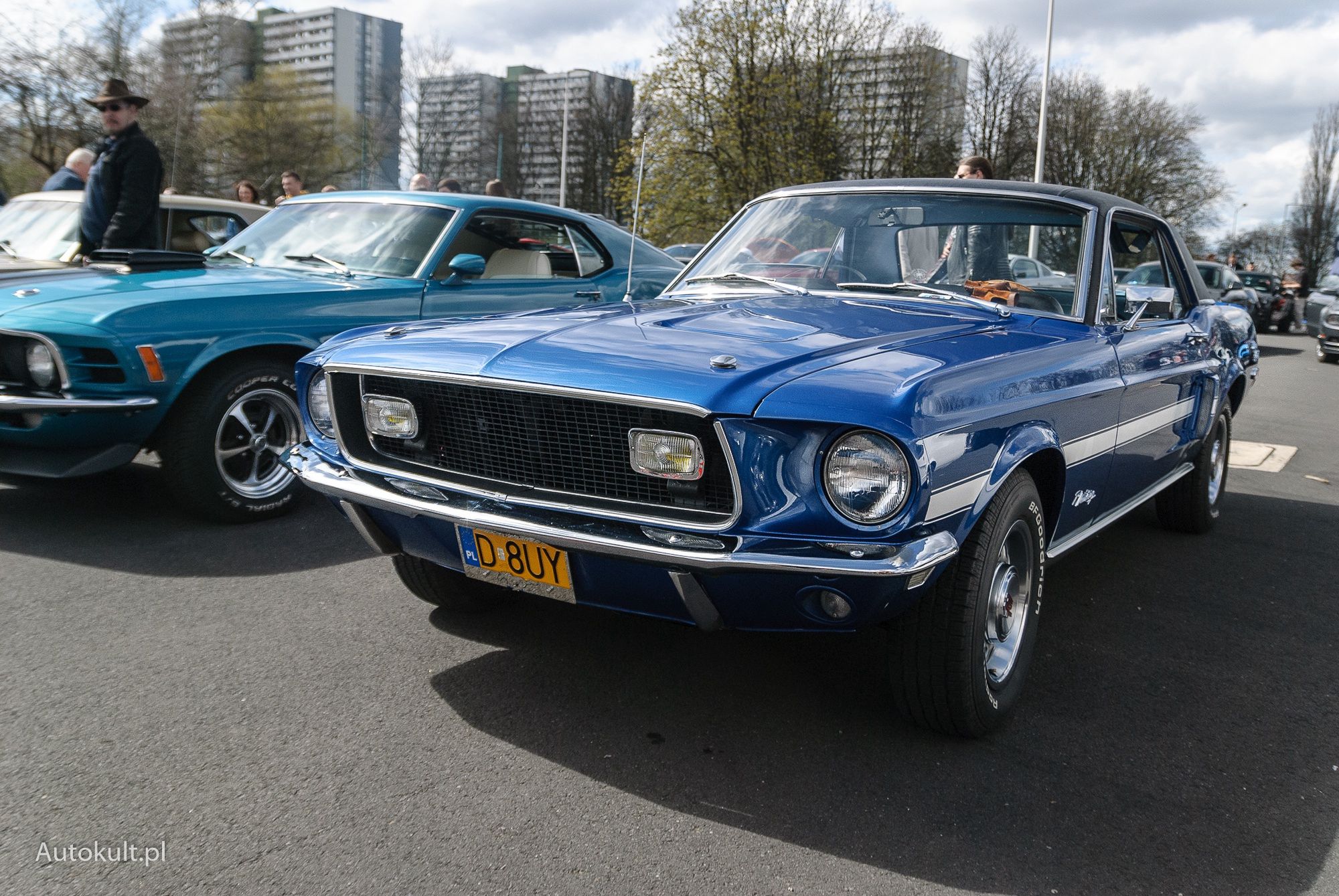 XV Ogólnopolski Zlot Mustangów