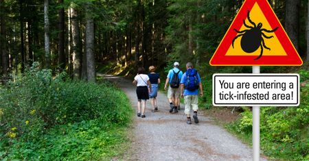 Protokół Buhnera, czyli zioła na boreliozę
