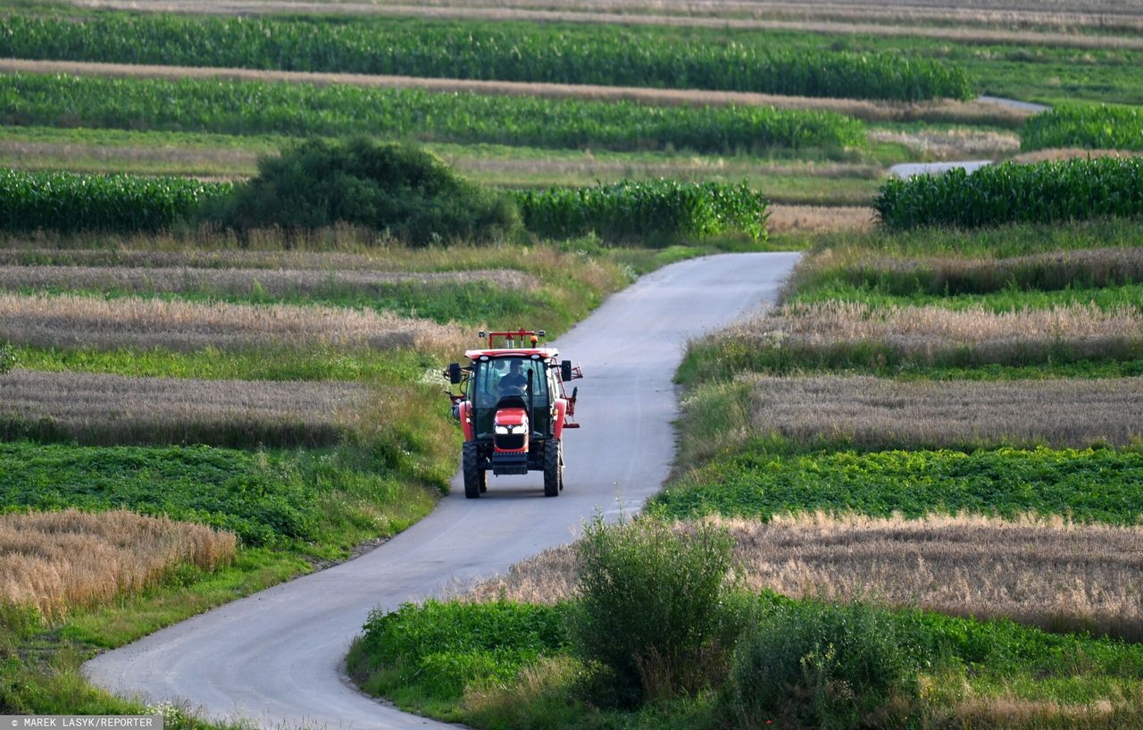 Jechali na ważną uroczystość. Zderzyli się czołowo z ciągnikiem