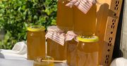 Jak rozpoznać prawdziwy miód? Musisz zwrócić uwagę na kilka rzeczy