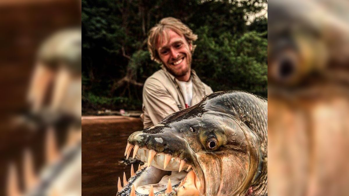 Dziwne wodne stworzenia, o których istnieniu nie wiedziałeś 1