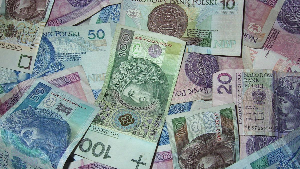 Szefowa ZUS zabrała głos ws. 500 plus
