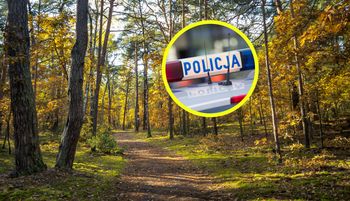 Wstrząsające odkrycie w lesie. Wisiały na stalowych linach