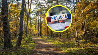 Wstrząsające odkrycie w lesie. Wisiały na stalowych linach