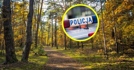 Wstrząsające odkrycie w lesie. Wisiały na stalowych linach