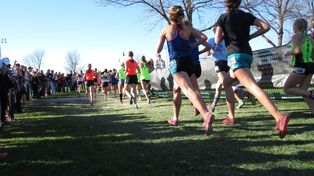 Parkrun Park na Wyspie w Pile świętuje 6. urodziny