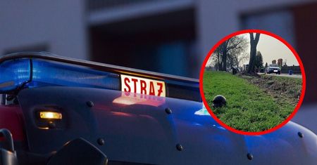 Pojechał ratować cudze życie. Niewiele brakowało, a straciłby swoje