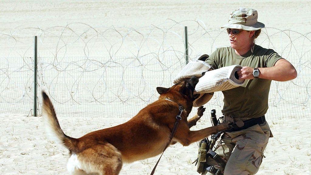 Marines At Camp Fox Prepare For Possible War
CAMP FOX, KUWAIT - MARCH 15:  A Marine demonstrates aggressive dog handling walks March 15, 2003 at Camp Fox in Kuwait. With United Nations diplomacy looking less and less likely to stop a war, American and British troops are preparing for an imminent attack on Iraq.  (Photo by Spencer Platt/Getty Images)
Spencer Platt
america war sandbag politics politics political middle east mari