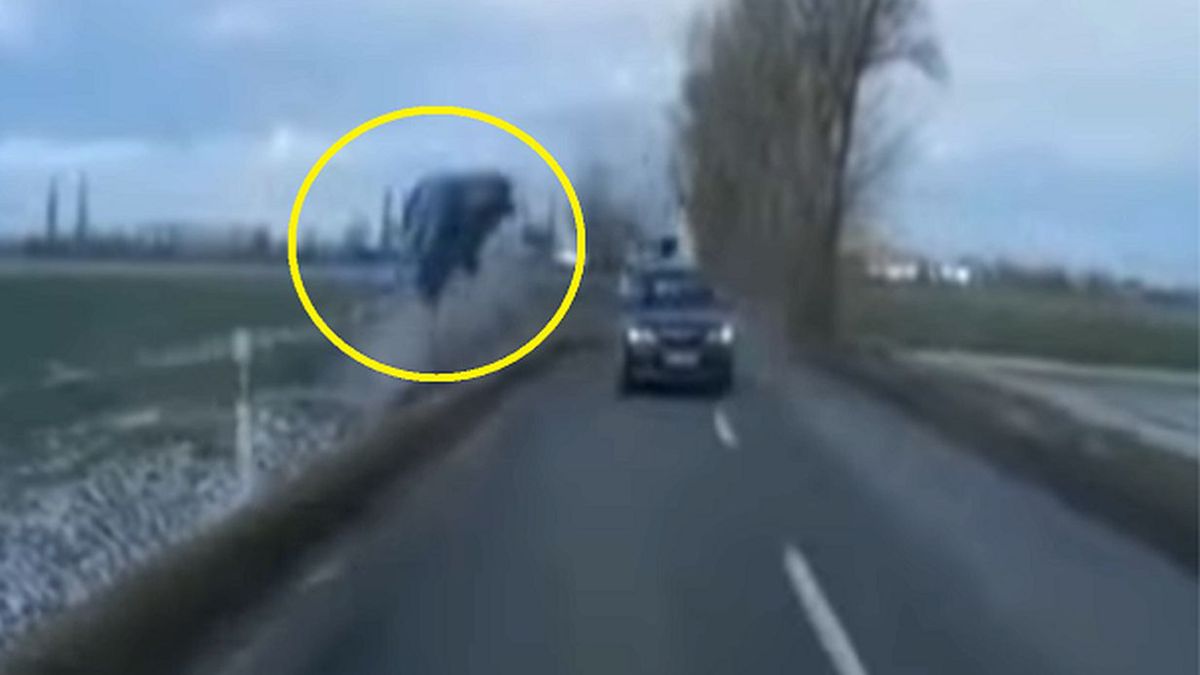 Dramatyczny wypadek został nagrany kamerą