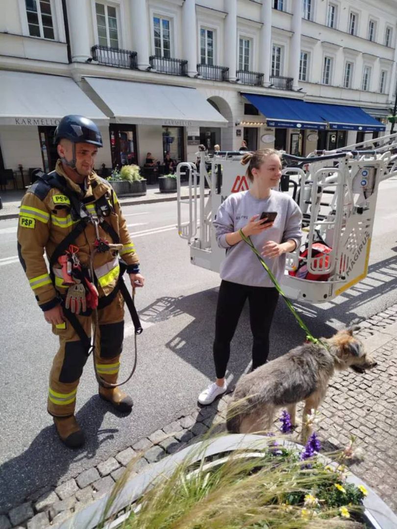 Niecodzienna akcja strażaków