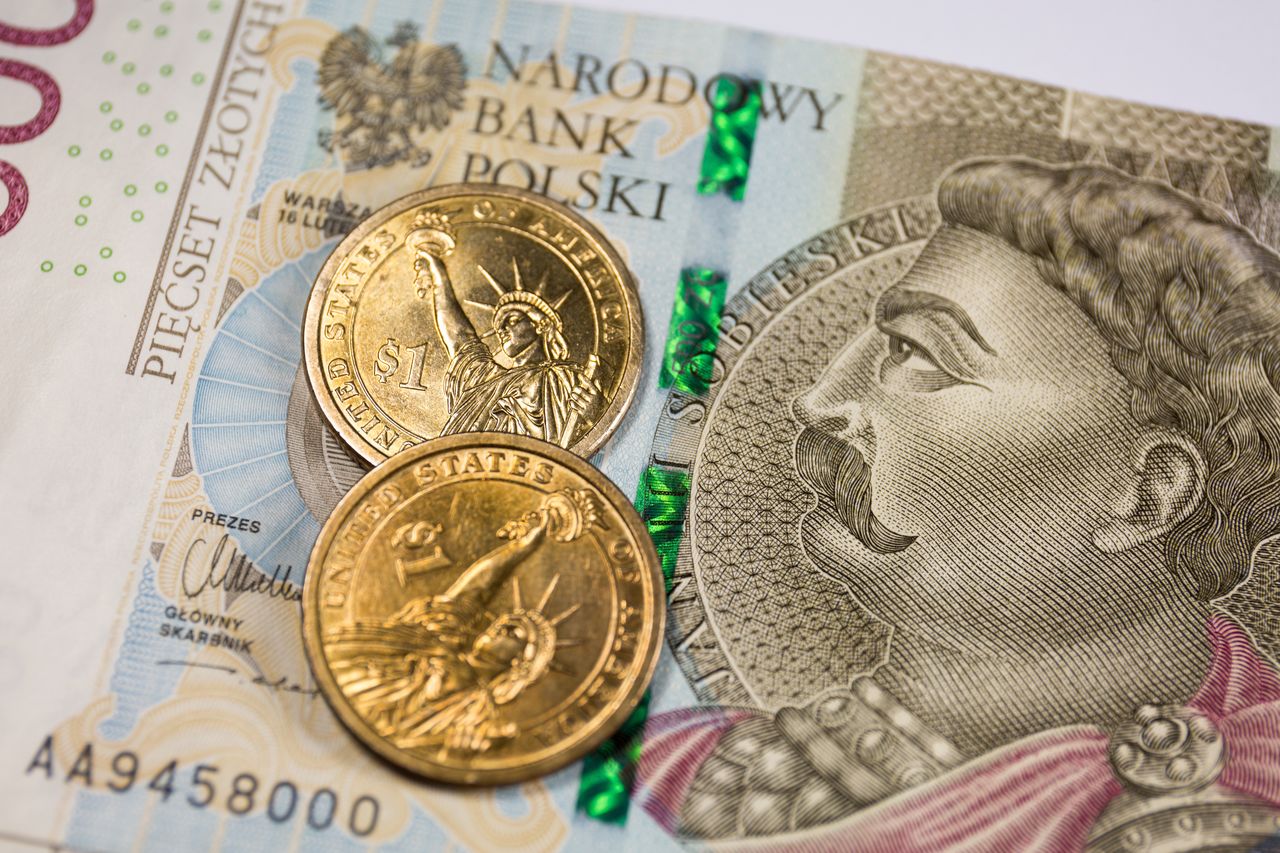 Złoty silny względem euro, słabszy względem dolara