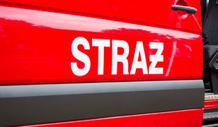 Bielsko-Biała. Strażacy, straż miejska, przedstawiciele fundacji…i jeden schowany wąż