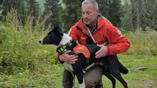 Tatry: Policyjne psy z Wrocławia szkoliły się wraz z ratownikami TOPR