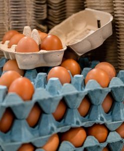 Brakuje jaj na rynku. Branża zapowiada podwyżki cen