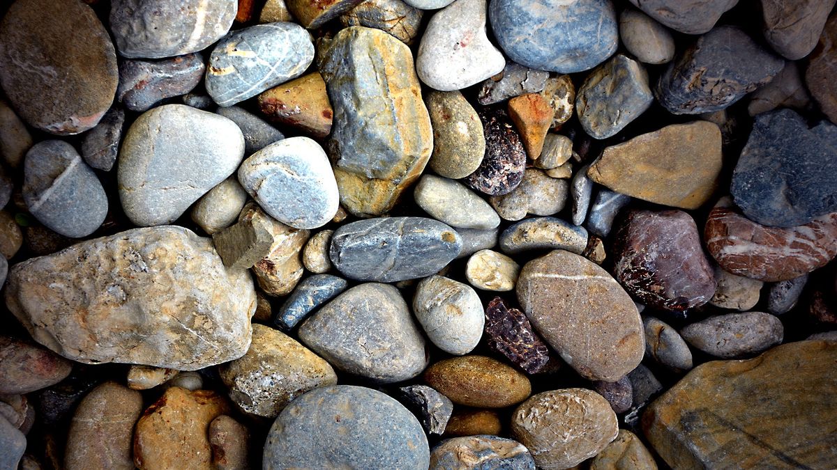 Sanepid zgodził się, by mężczyzna spędził kwarantannę na działce.