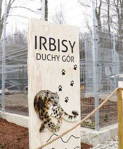 Chorzów. Rodzeństwo zyskało nowe lokum dzięki budżetowi obywatelskiemu