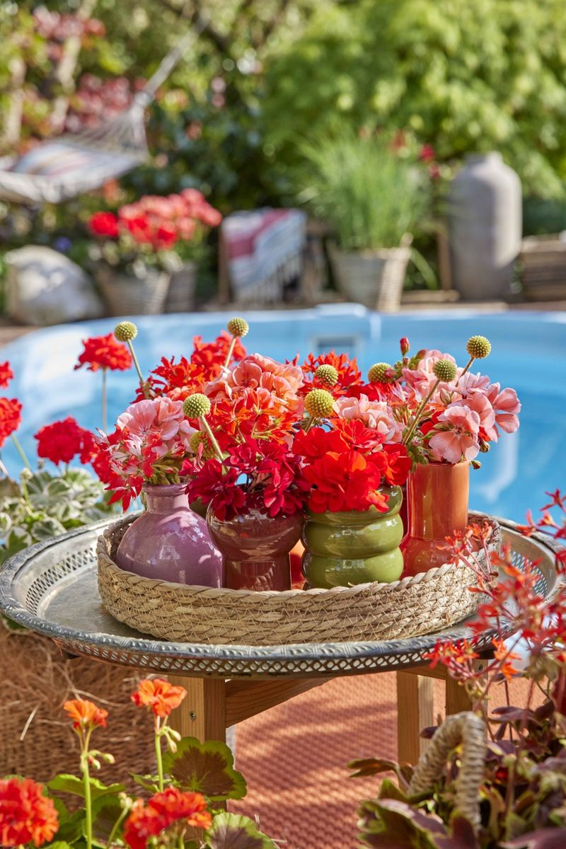 Kwiatowa, letnia jadalnia. Nowe pomysły na kolorowe aranżacje stołu z pelargoniami