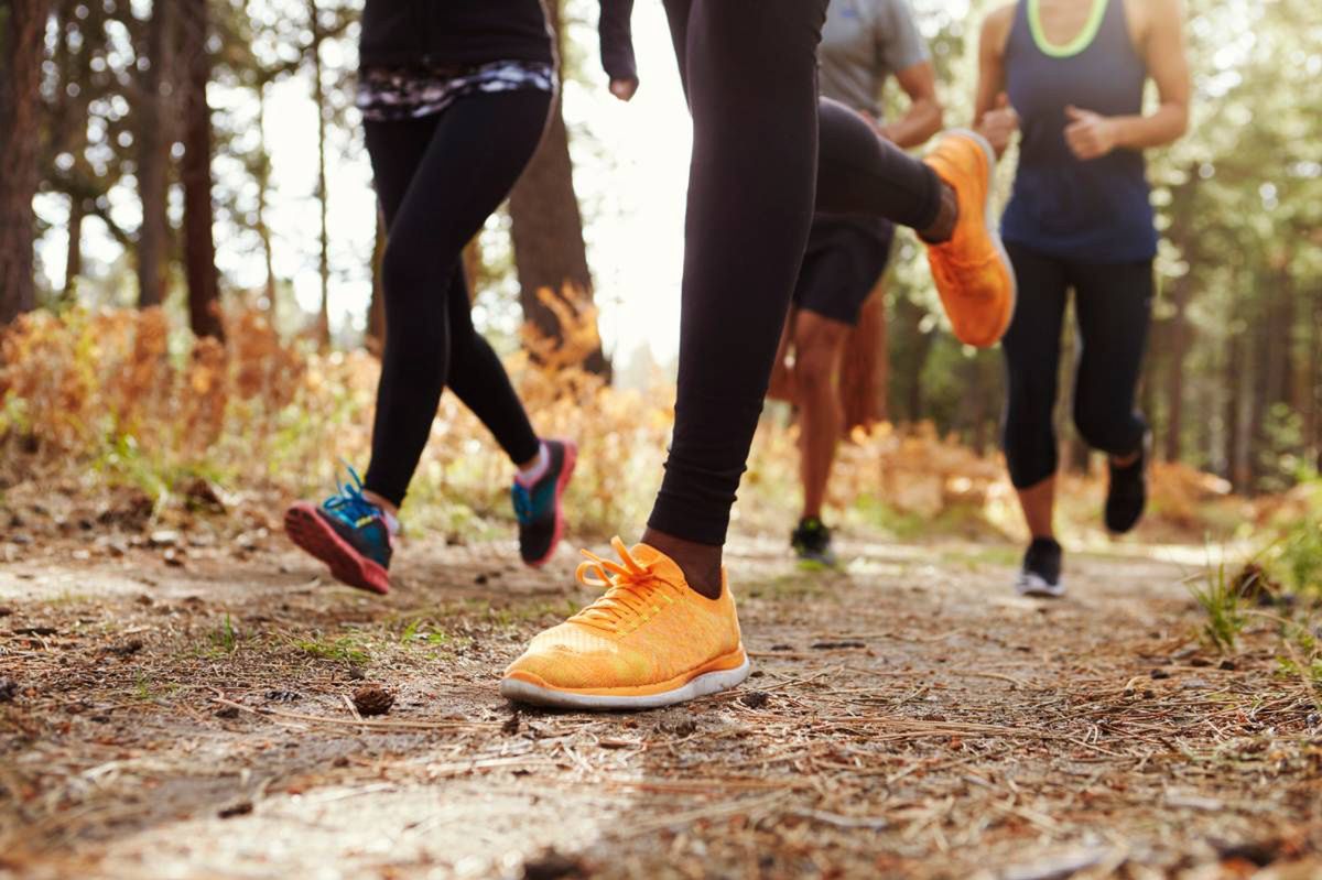 Toruń: Parkrun 476. Tak biegacze przywitali jesień w lesie na Skarpie