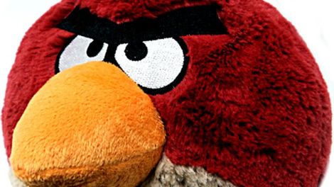 Ptaki z uzależniającej gry Angry Birds na żywo! [galeria] 1