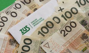 Świadczenia ZUS dla par jednopłciowych. Zaskakujące wyniki sondażu