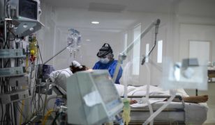 Największa epidemia dengi w historii kraju. Masowe zakażenia w Argentynie