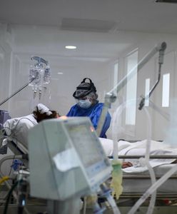Największa epidemia dengi w historii kraju. Masowe zakażenia w Argentynie