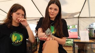 Dzień Ziemi w Chojnicach. Egzotyczne zwierzęta i edukacja