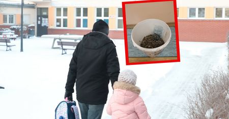 "To dla mnie niepojęte". Rozsypał gwoździe i wkręty wokół szkoły