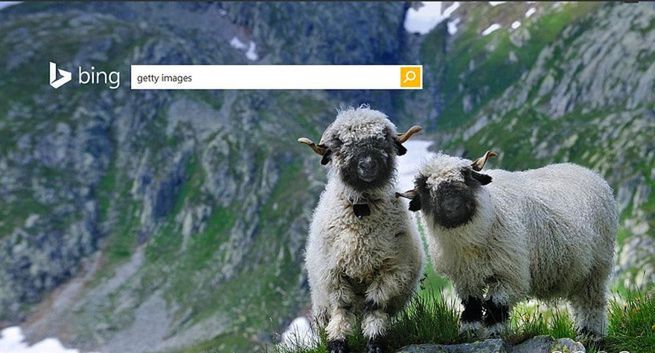 Microsoft zapowiada nowości w wyszukiwaniu obrazów w Bing (wideo)