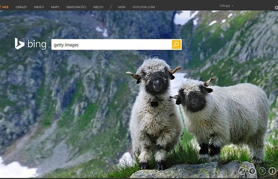 Microsoft zapowiada nowości w wyszukiwaniu obrazów w Bing (wideo)