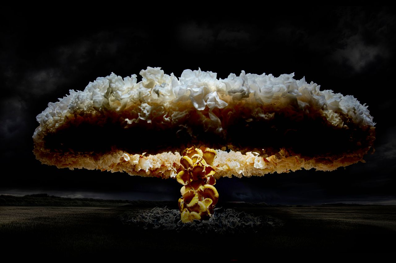 Atomowe grzyby z... grzybów. Henry Hargreaves porusza problem zagrożenia nuklearnego
