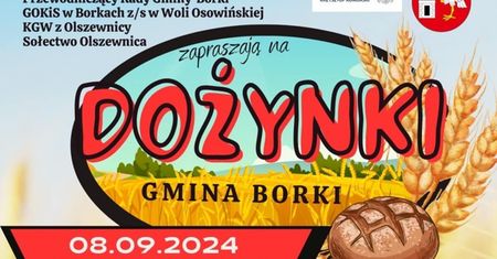 Dożynki w Olszewnicy 2024. Wystąpią: Milano i Marcin Kłosowski. Zobacz godzinowy program