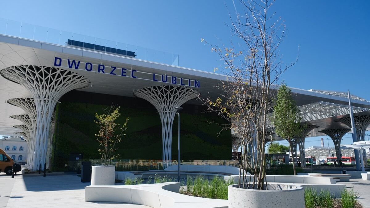 Uschnięte drzewa przy Dworcu Lublin