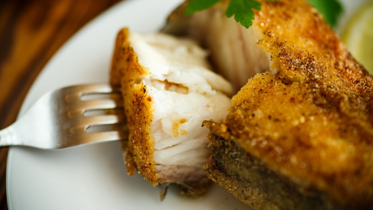 Dlaczego warto wybrać suma?