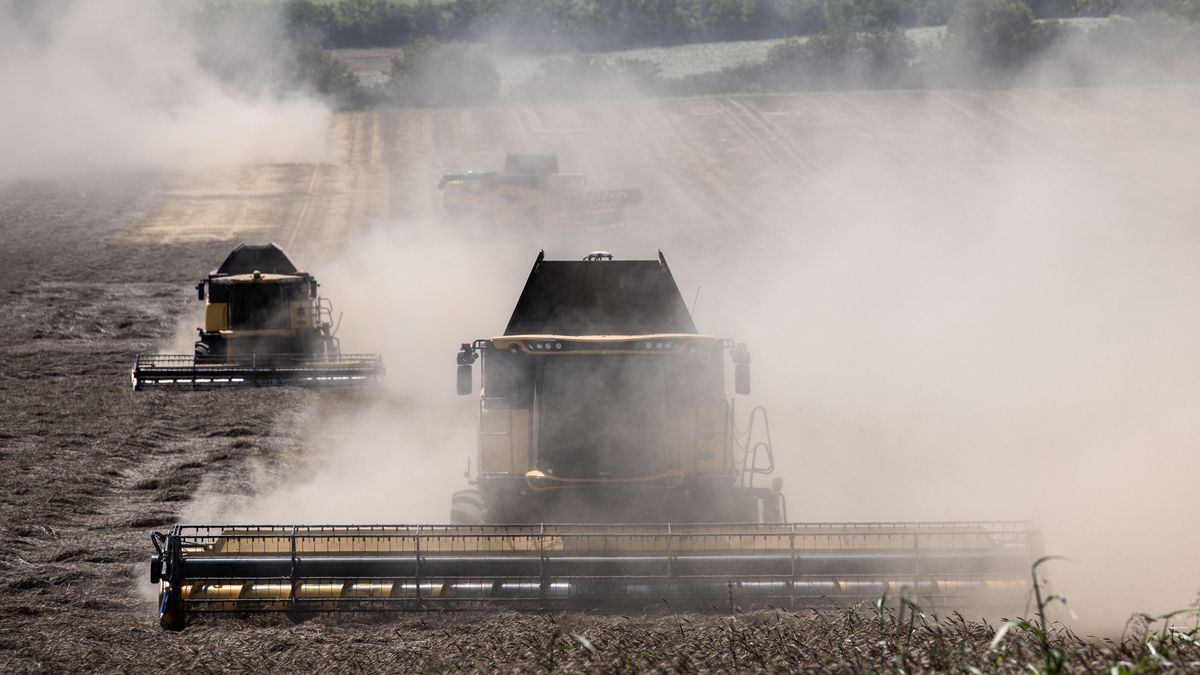 Rynek zboża w Ukrainie zmaga się z poważnym kryzysem