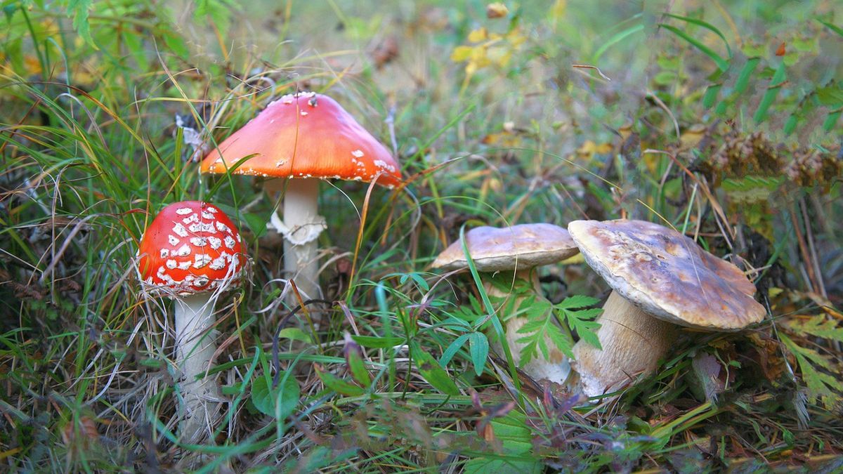 Zdjęcie ilustracyjne. 