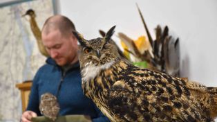 Kruszwica: Tak było na "Nocy sów" w Nadgoplańskim Parku Tysiąclecia