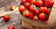 Niewielu wie, że pomidory można mrozić. Ale tylko jedna metoda jest dobra, by zachowały smak