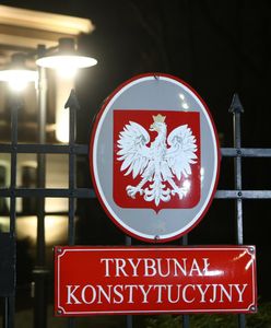 Rozprawa w Trybunale Konstyucyjnym. Ekspert o "grze politycznej"