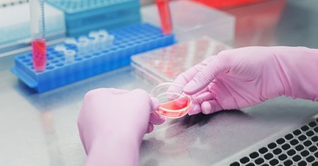Test ELISA – rodzaje, wskazania, przygotowanie i przebieg